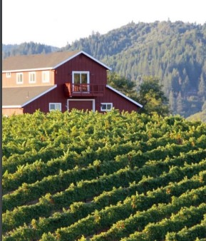 Sonoma Wine Country Escape: Vineyard Stay & Exclusive Tastings for Four ...